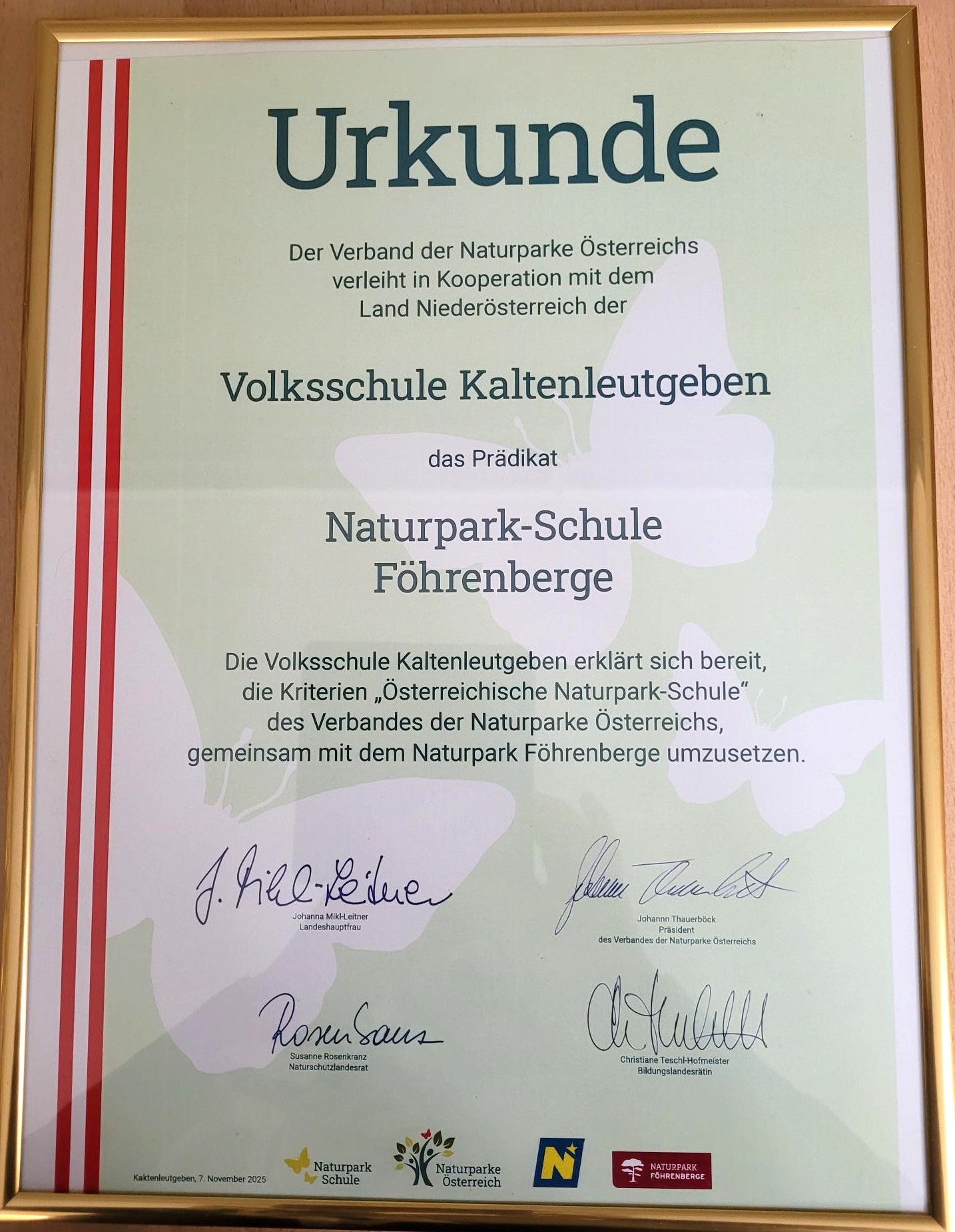 This image for Image Layouts addon